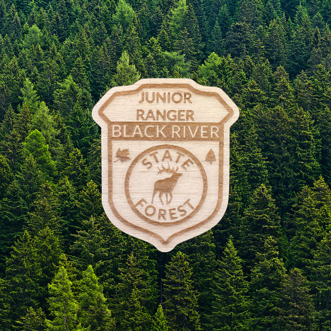 Wood shaped Jr. Ranger Badge depicting an elk and the text: Junior Ranger Black River State Forest. Photo Background: view of a dense forested woods from the air.