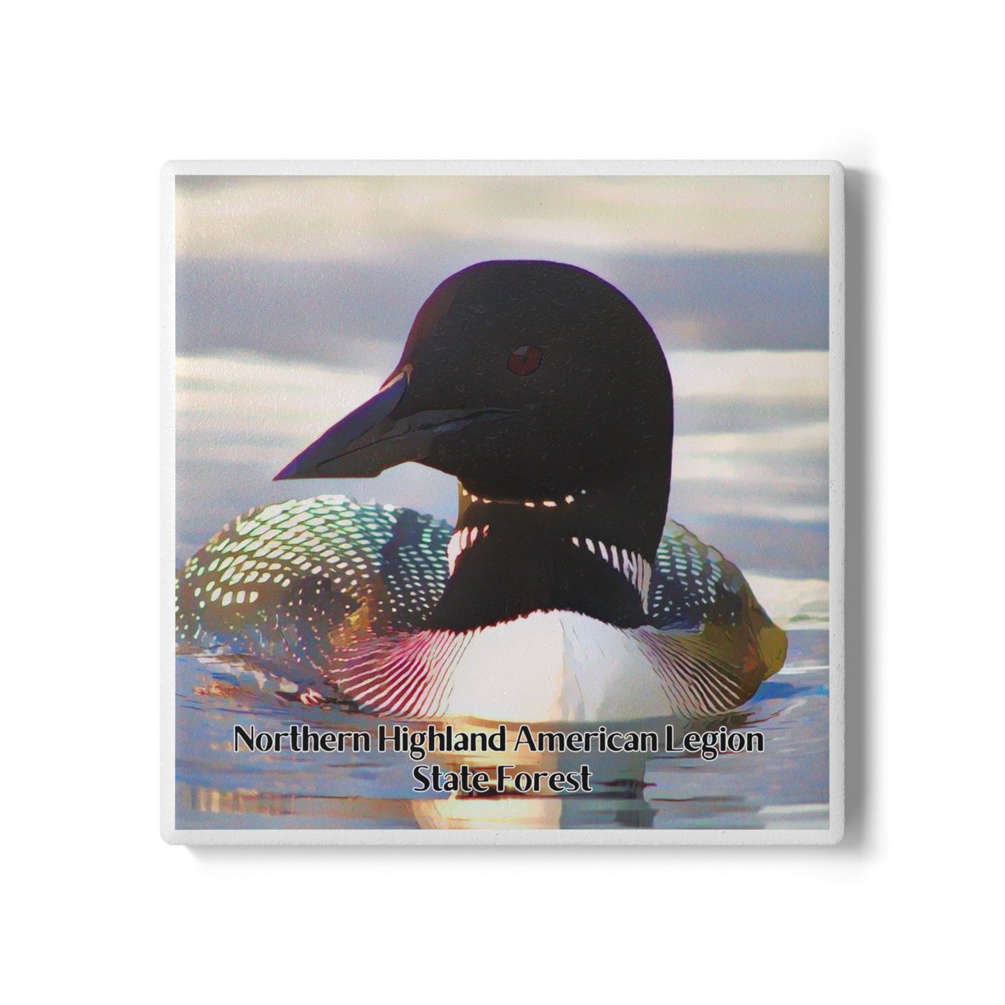 Ceramic coaster featuring an up close photo of a loon and iridescent feather colors with the text “Northern Highland American Legion State Forest”.