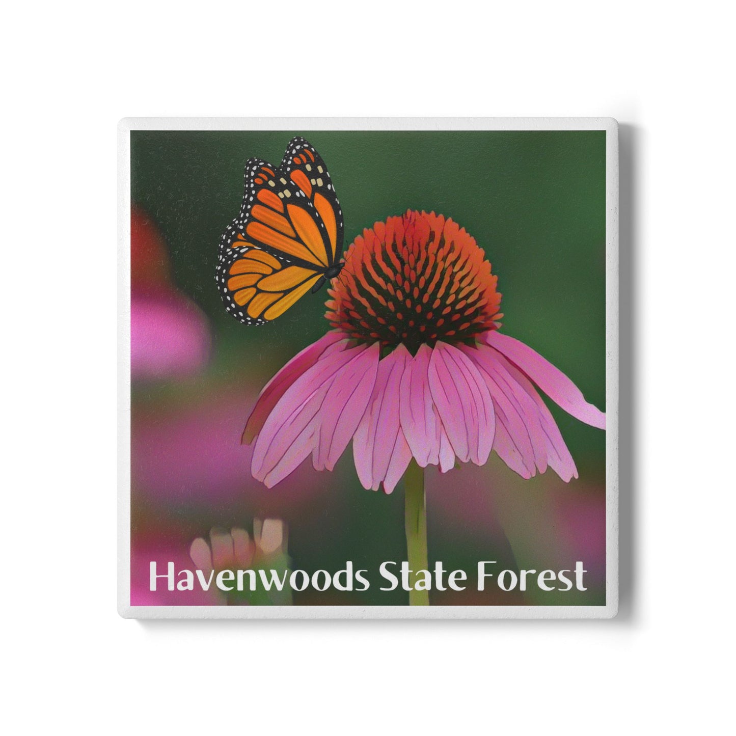 Ceramic coaster featuring a vibrant coneflower and monarch butterfly and the text Havenwoods State Forest.