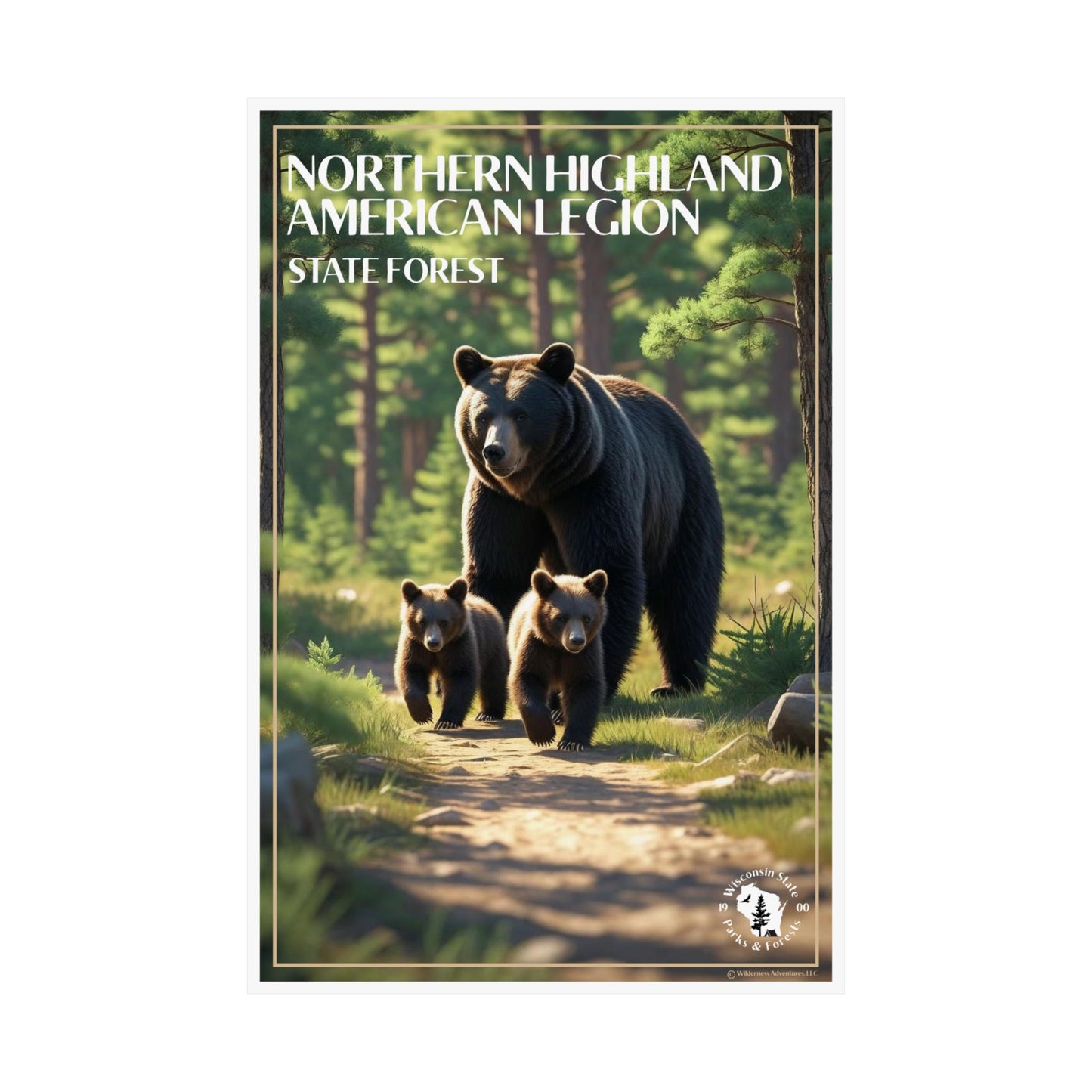 12x18” Poster of a Black bear and two cubs walking through a pine forest and the text: Northern Highland American Legion State Forest.