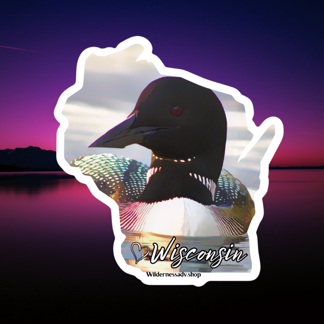 Wisconsin shaped sticker depicting a close up photo of a loon and iridescent feathers. Features a heart symbol and the text Wisconsin. Photo background: sunset over a calm lake.