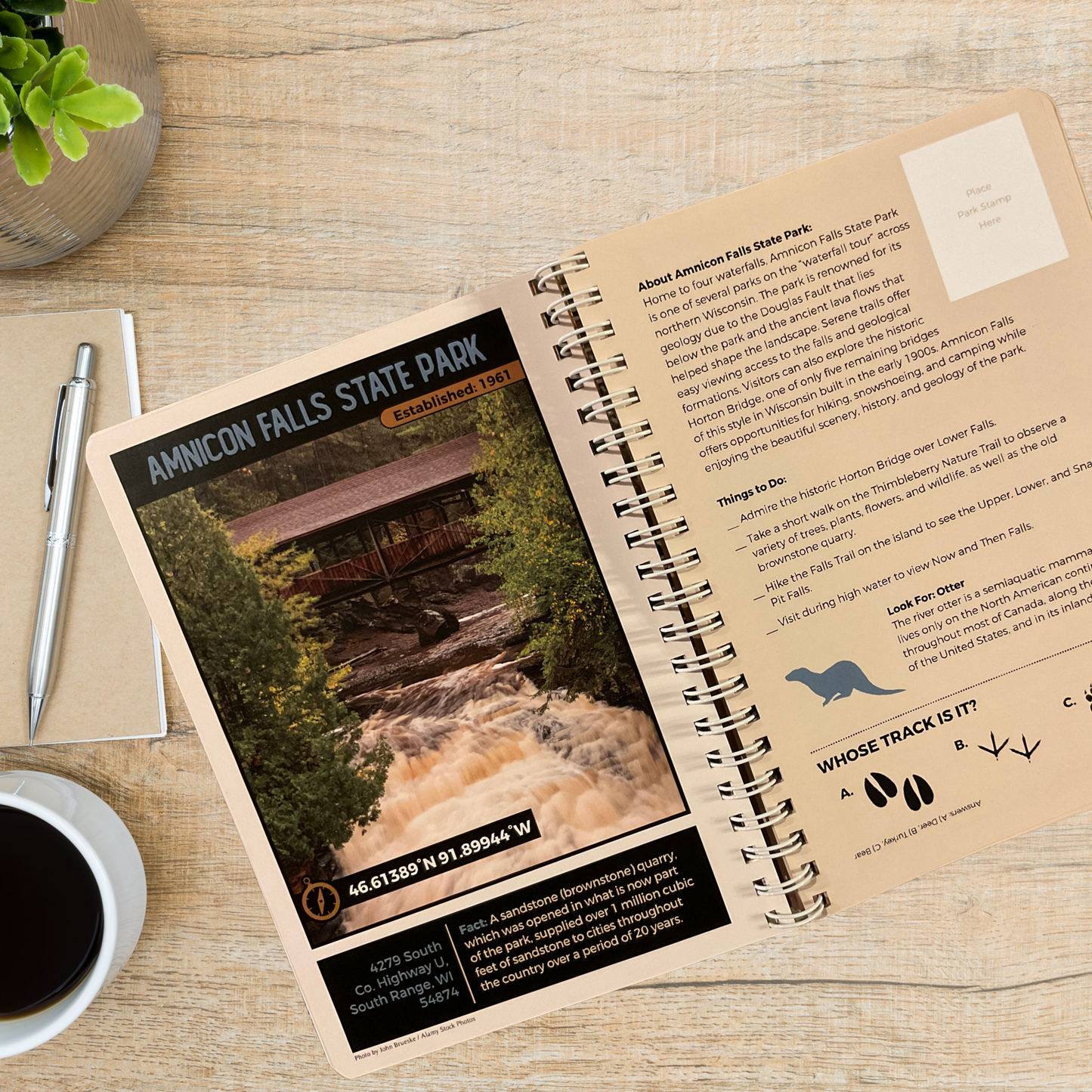 Wisconsin State Parks, Forests, and Trails Interactive Guide. Featuring a display of inside pages featuring Amnicon Falls and associated photo, park history, and things to do. Photo background: book laying on a wood top next to a plant, coffee, and pen.