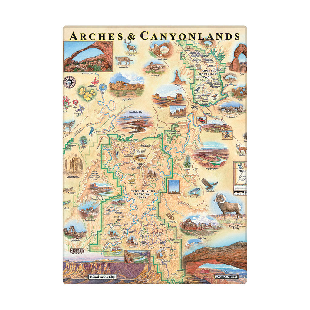 An illustrated map magnet of 'Arches & Canyonlands' showing the region with scenic drawings, labeled landmarks, rivers, and roads on a cream background.