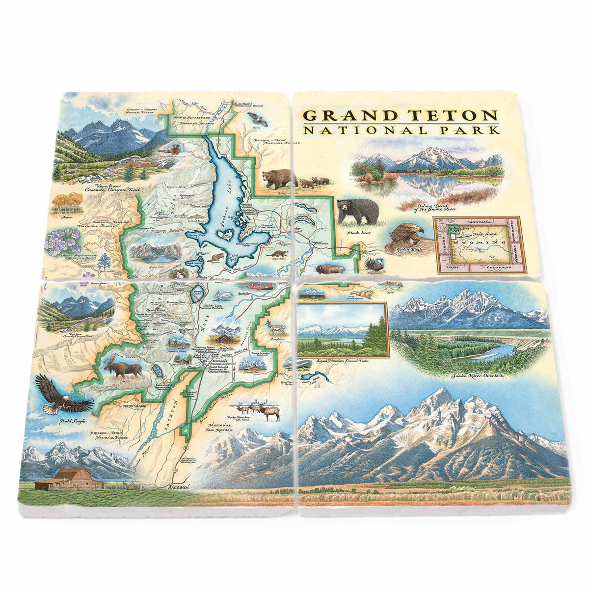 A set of 4 Grand Teton National Park illustrated map print coasters shown on a white background, with four overlapping sections revealing detailed scenic and animal illustrations.