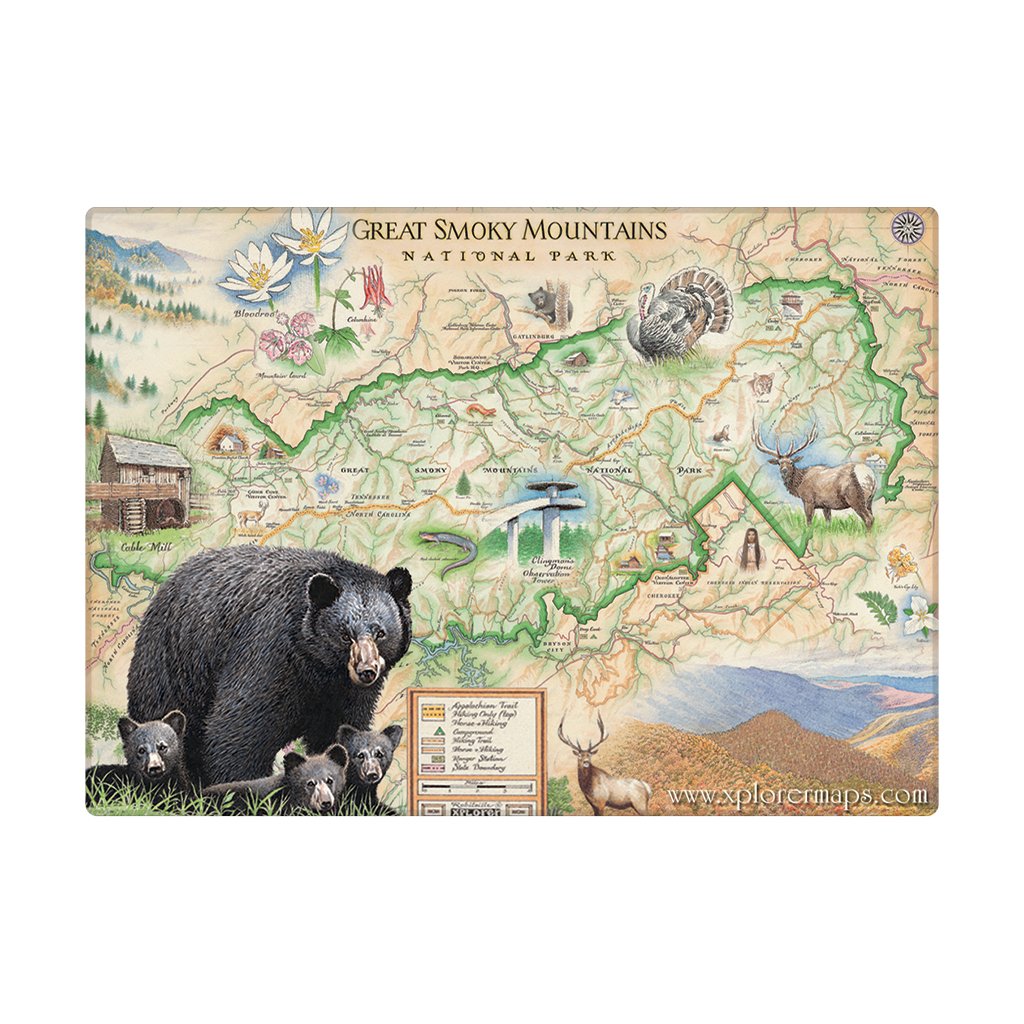 A rectangular magnet with map of Great Smoky Mountains National Park with illustrated wildlife, including a large black bear, bear cubs, deer, turkey, and mountain scenery. The map has a cream background with green route lines and many small scenic details.