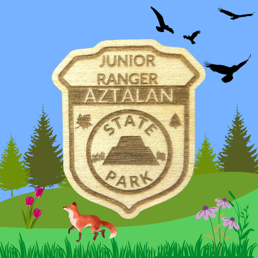 Wood Jr Ranger badge with the text: Junior Ranger, Aztalan State Park. Photo background: cartoon of green hills, trees, flowers and a fox.