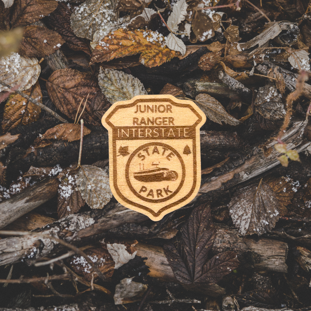Wood badge shaped pin featuring the text “Junior Ranger - Interstate State Park” with an image of a paddle wheel boat. Photo background: leaves and bark.