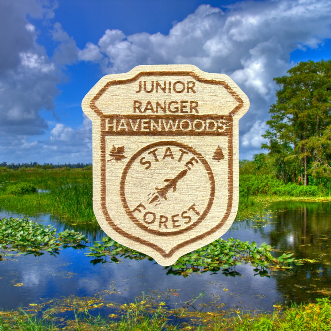 Wood Jr Ranger badge depicting a missile and the text Junior Ranger Havenwoods State Forest. Photo background: lush wetland.