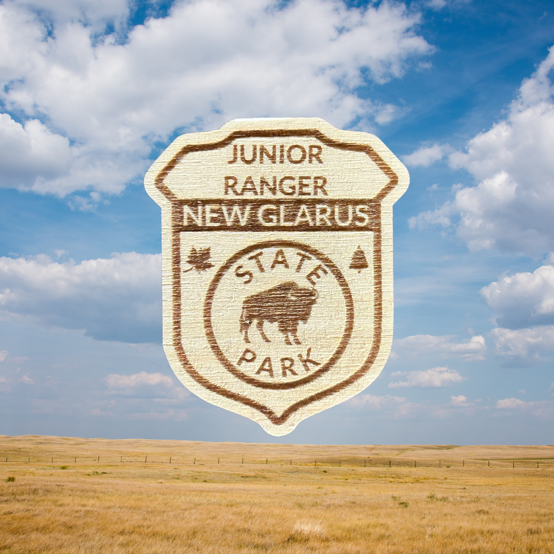 Wood Jr Ranger Badge featuring a bison and the text New Glarus State Park. Photo background: open prairie.