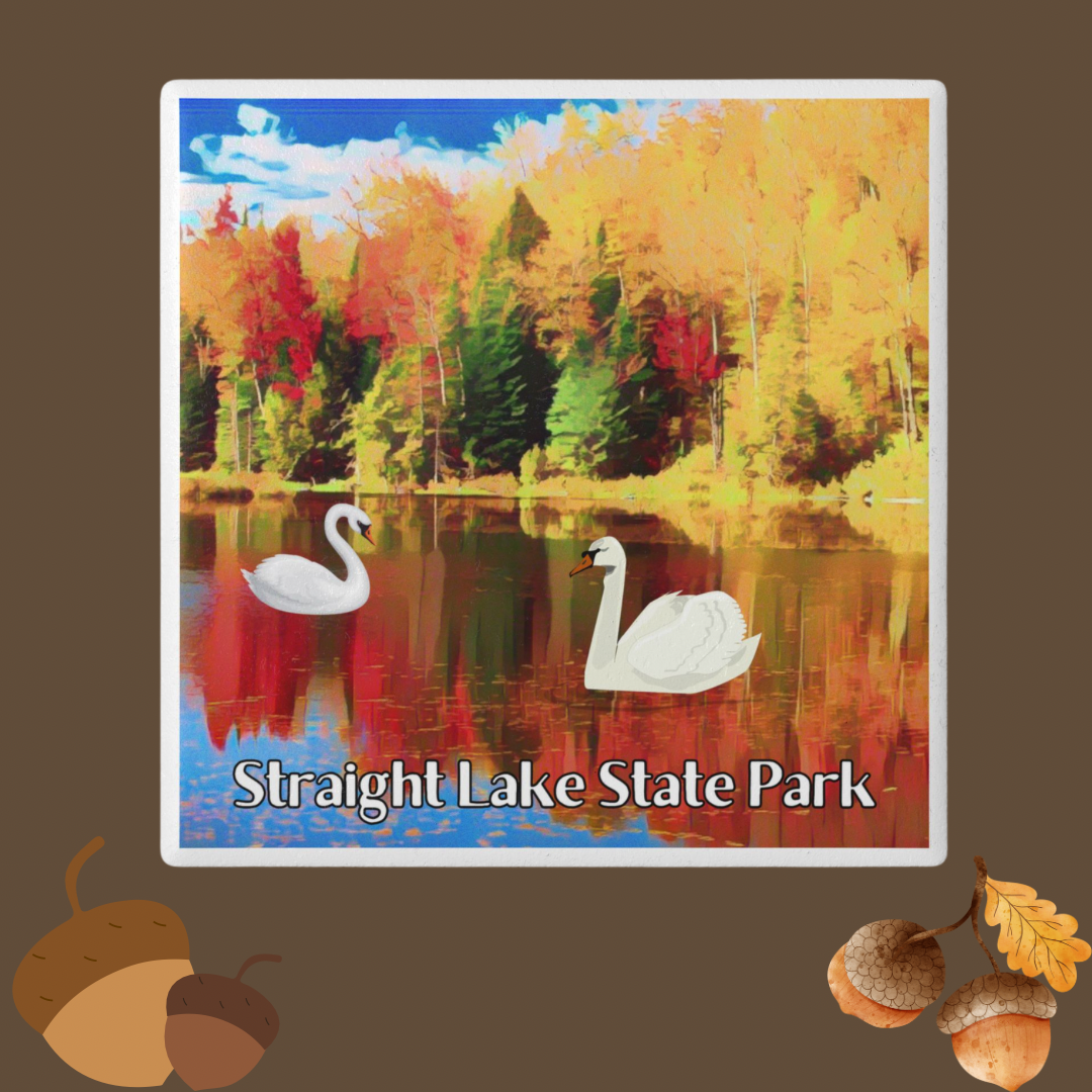 Ceramic coaster featuring two swans on a lake in fall and the text straight lake state park.