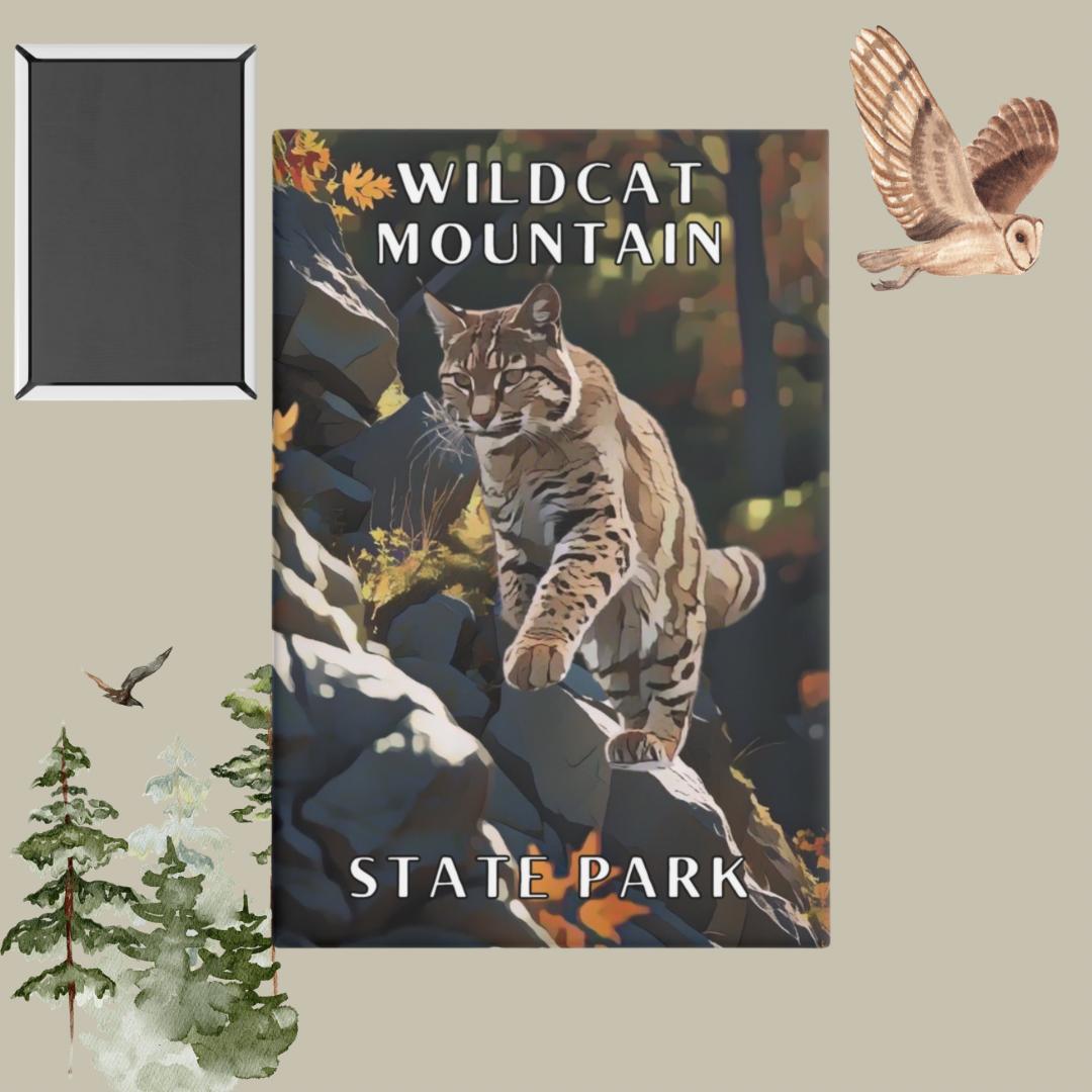 2x3” Button magnet featuring a Bobcat climbing on a rocky slope and the text: Wildcat Mountain State Park. Photo Background: Watercolor trees and an owl flying, and a photo of the backside of the magnet.