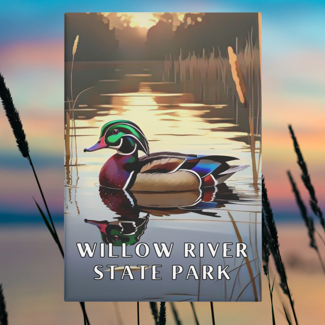 2x3” Button magnet featuring a vibrant wood duck swimming amongst reeds on a calm lake and the text: Willow River State Park. Photo Background: close up of reeds along a lake at sunset.