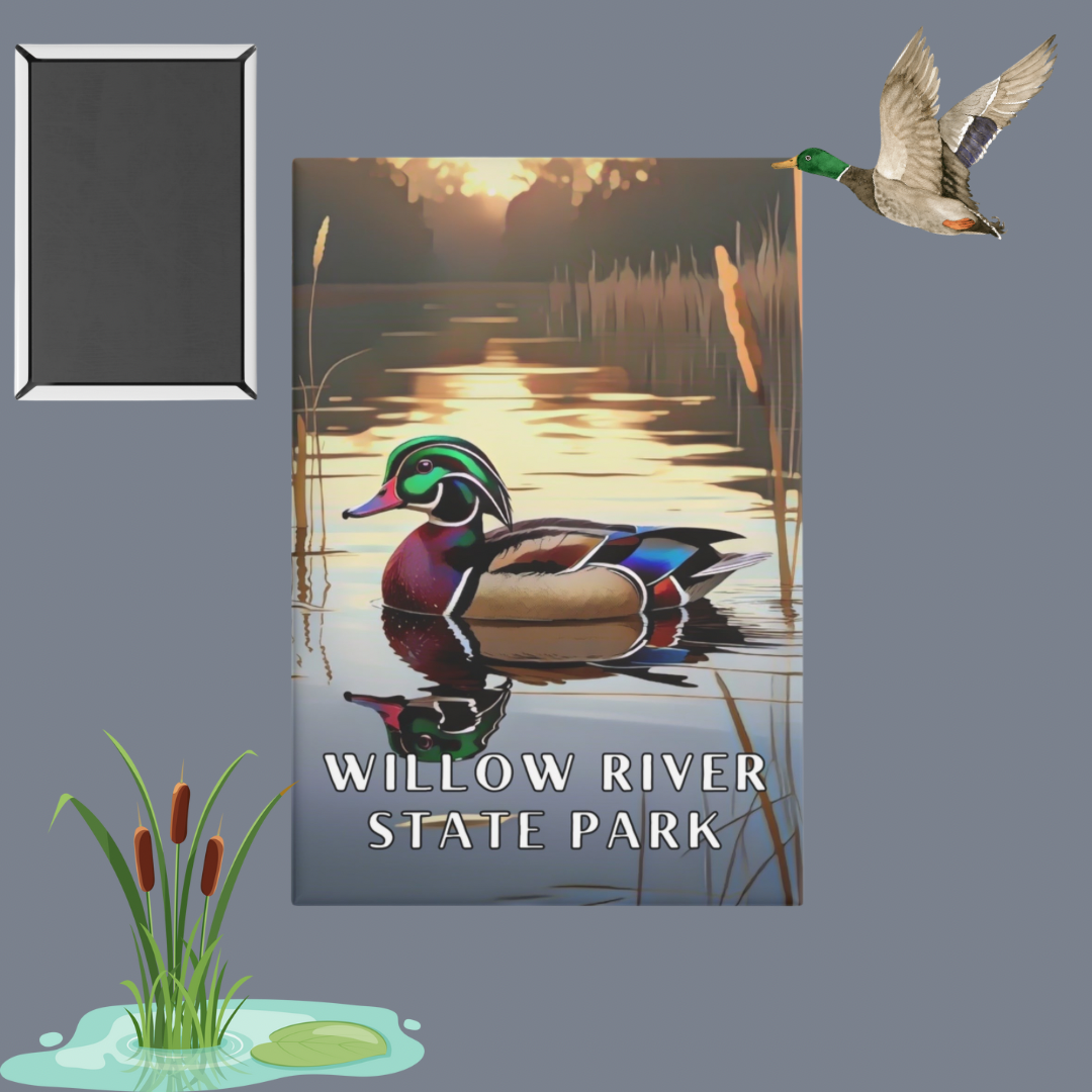 2x3” Button magnet featuring a vibrant wood duck swimming amongst reeds on a calm lake and the text: Willow River State Park. Photo Background: flying duck and cartoon cattails, and a photo of the backside of the magnet.