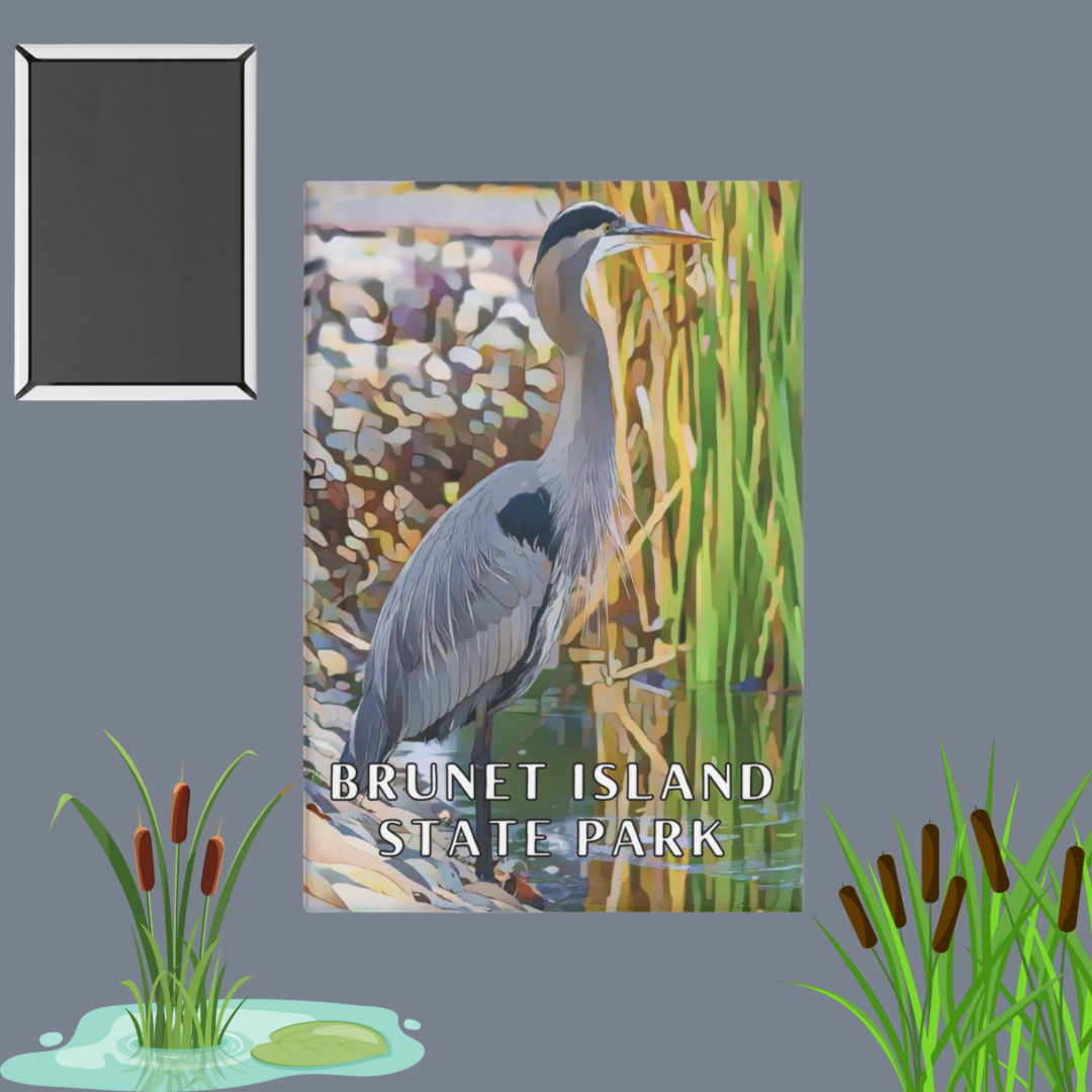 2x3” Button magnet featuring a Great Blue Heron standing in the water amongst reeds and cattails and the text: Brunet Island State Park. Photo Background: Cartoon cattails and photo depicting the backside of the magnet.