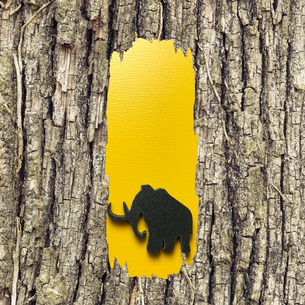 Yellow blaze decal with a black mammoth silhouette against a tree bark background.
