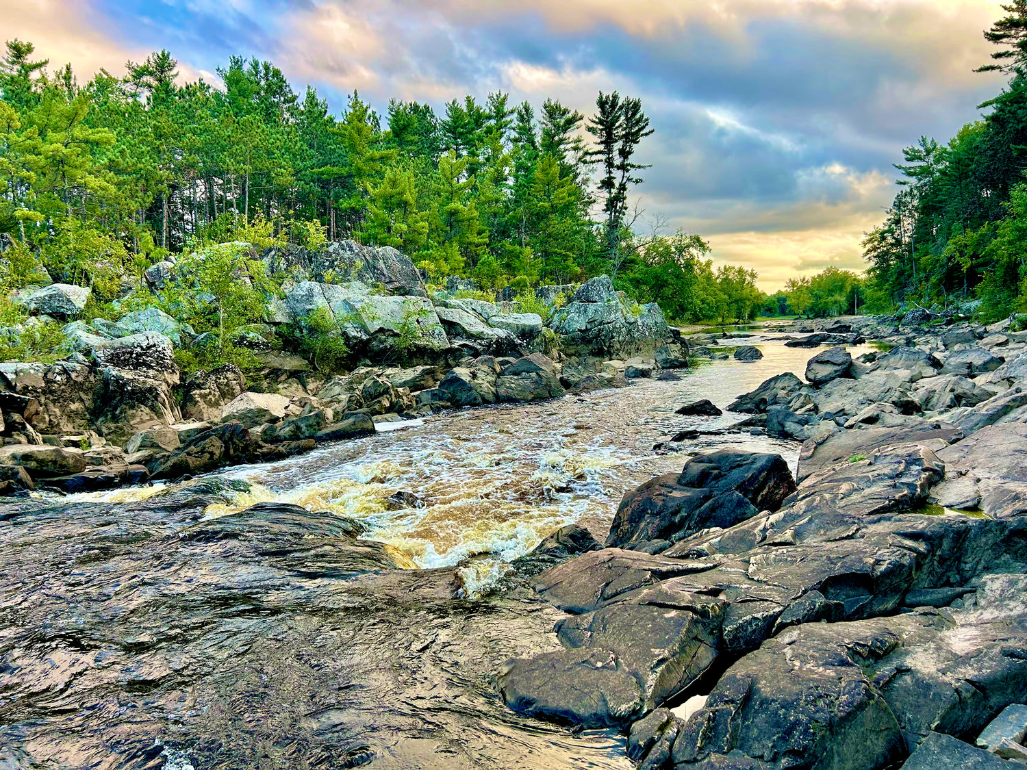 Black River State Forest