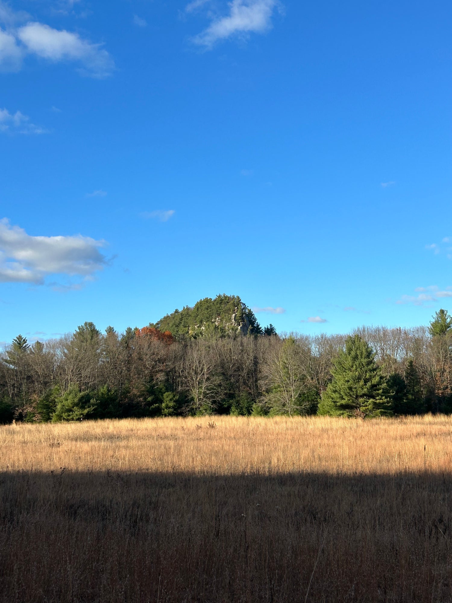 Roche-A-Cri State Park