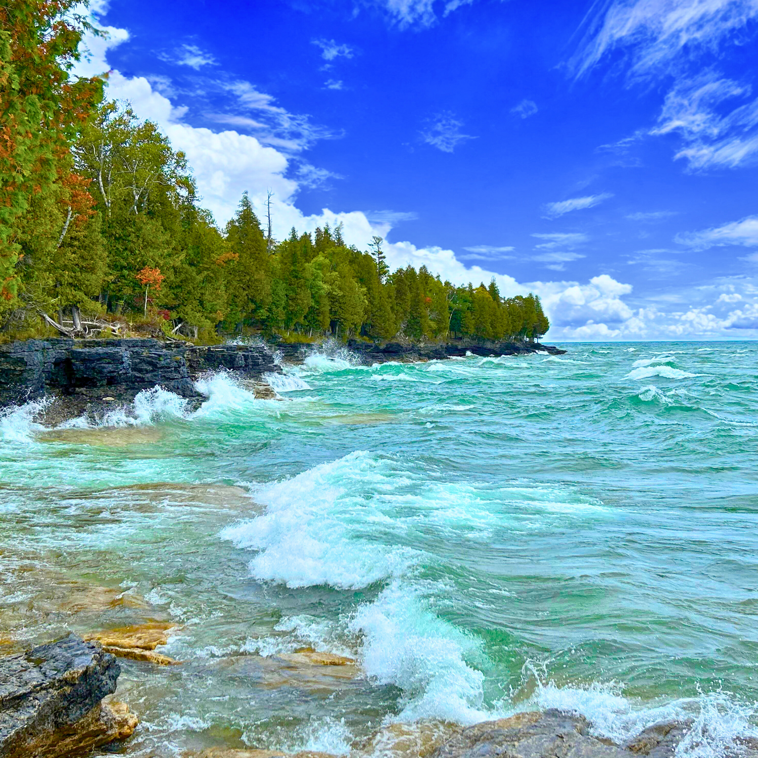 Whitefish Dunes State Park