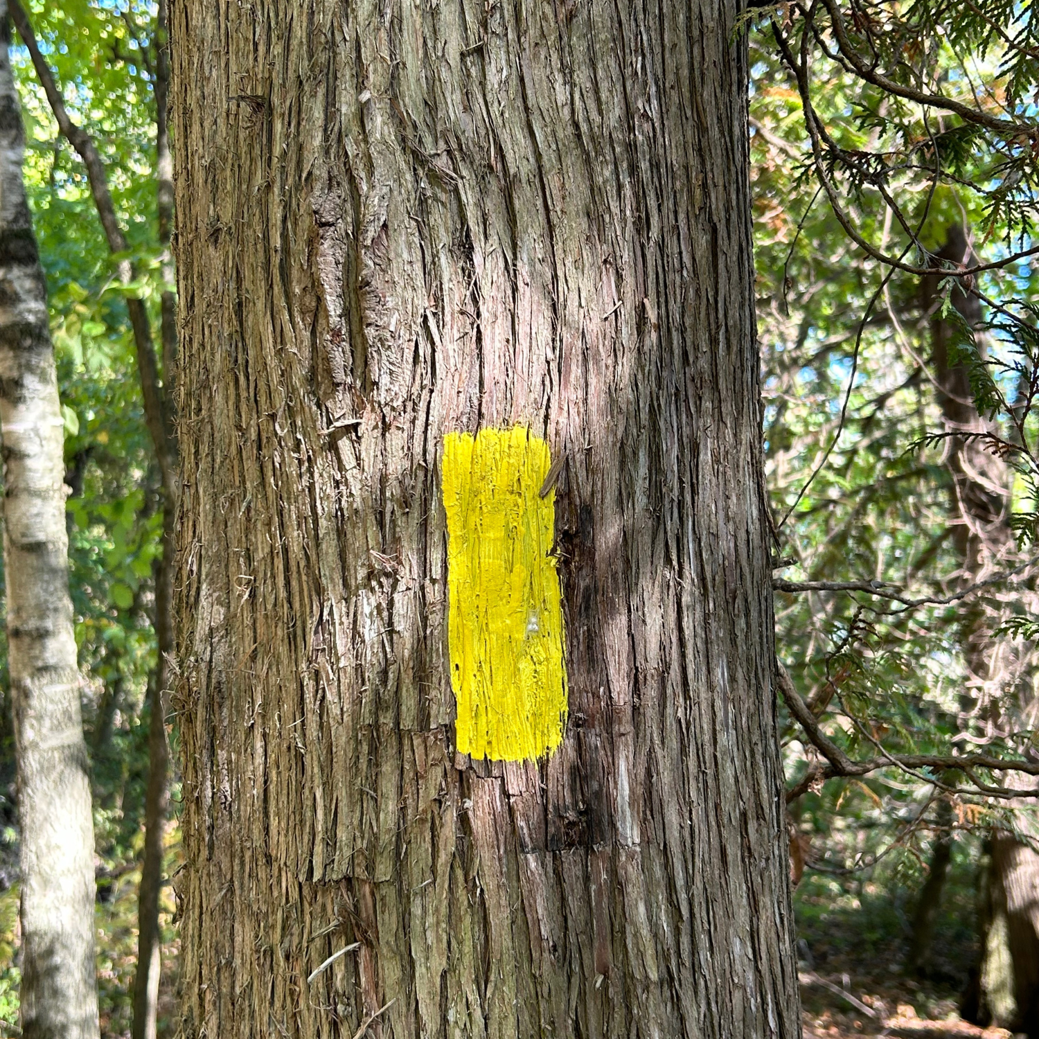 Cross Plains State Park