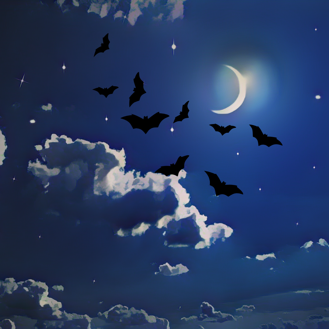 Yellowstone Lake State Park