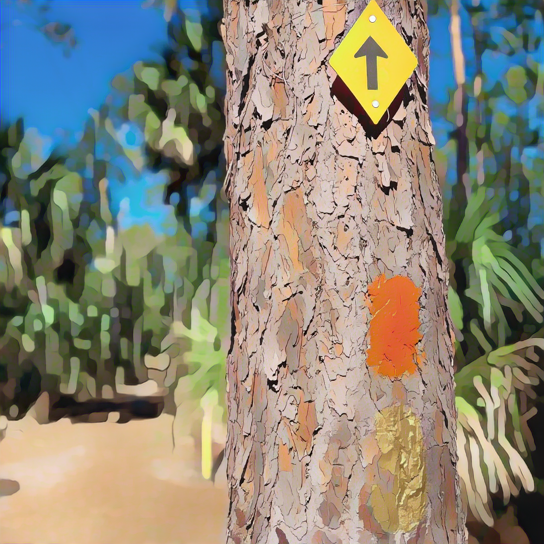 Florida Trail