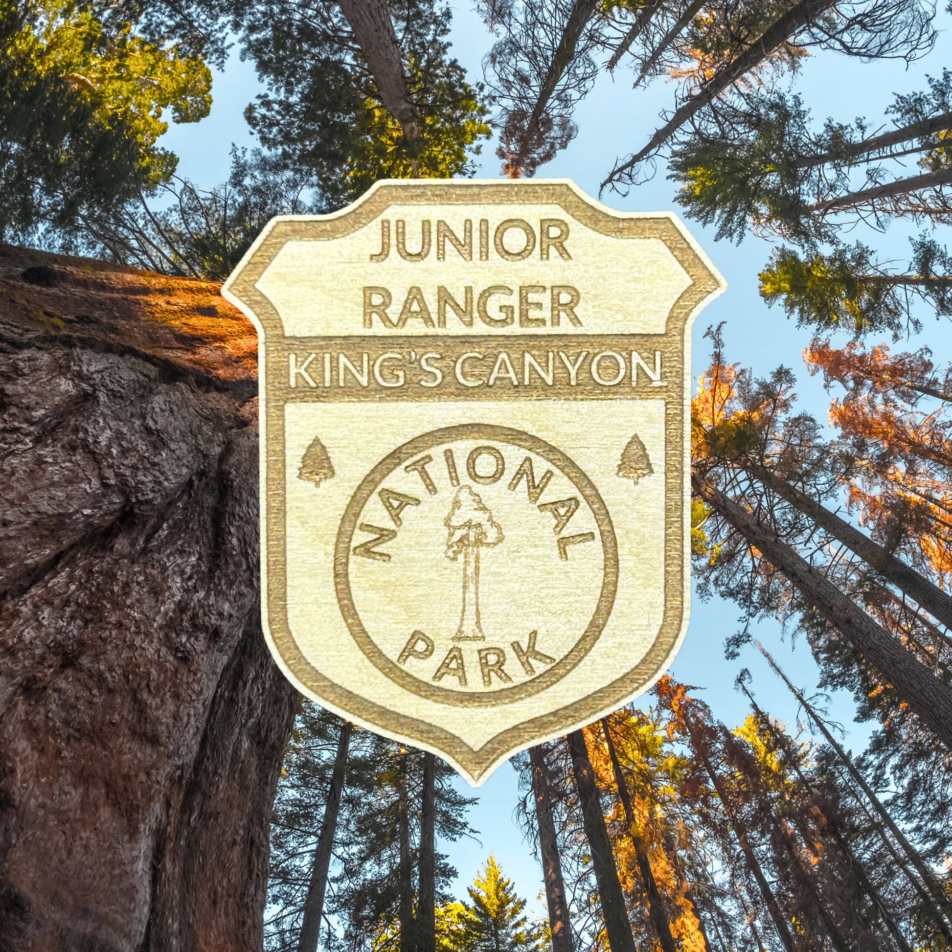 Junior Ranger badge for King's Canyon National Park surrounded by trees