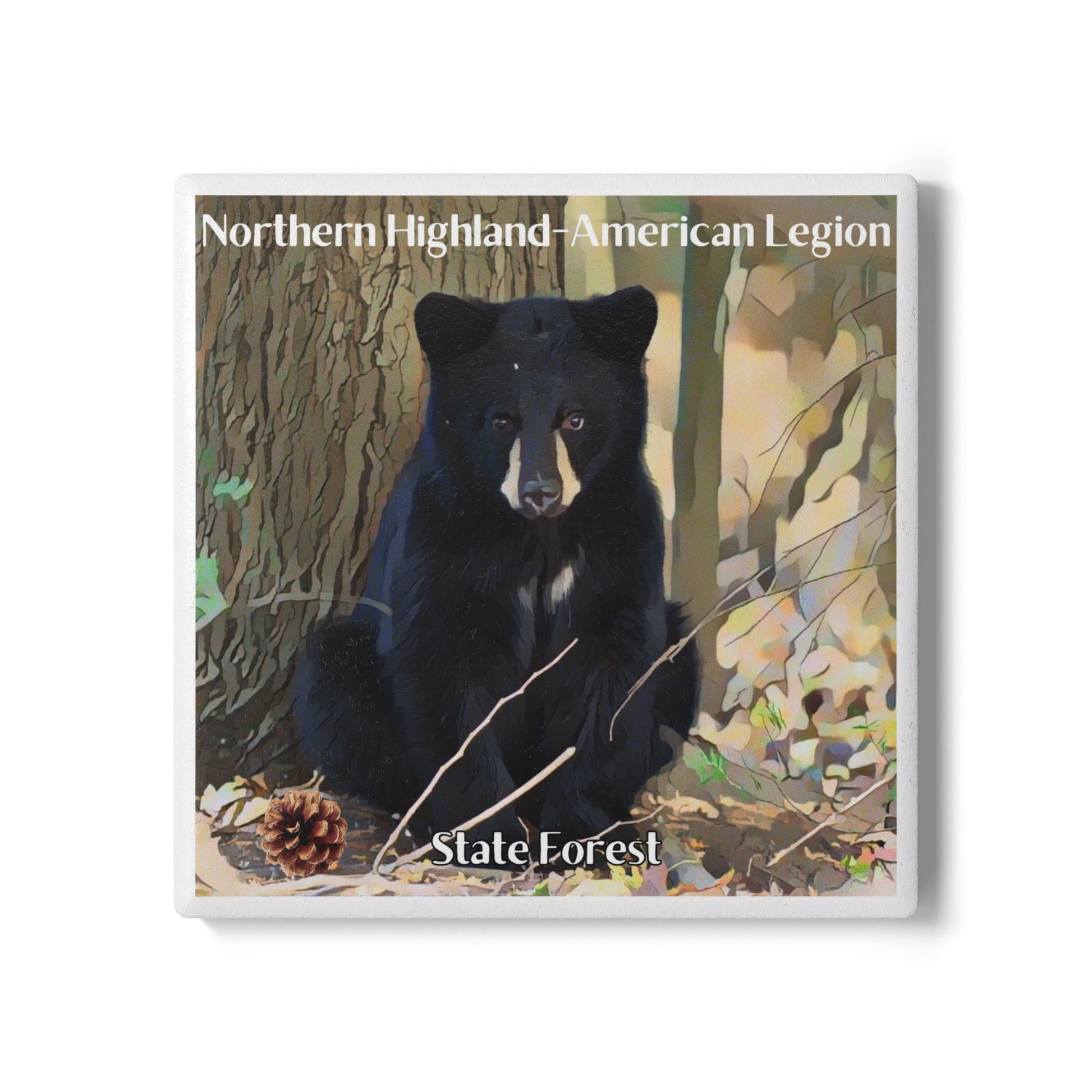 Ceramic coaster featuring a bear cub sitting against a tree in the woods and the text “Northern Highland American Legion State Forest”.