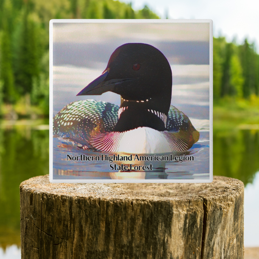 Ceramic coaster featuring an up close photo of a loon and iridescent feather colors with the text “Northern Highland American Legion State Forest”.  Photo background: coaster on a stump with trees and a calm lake in the background. 