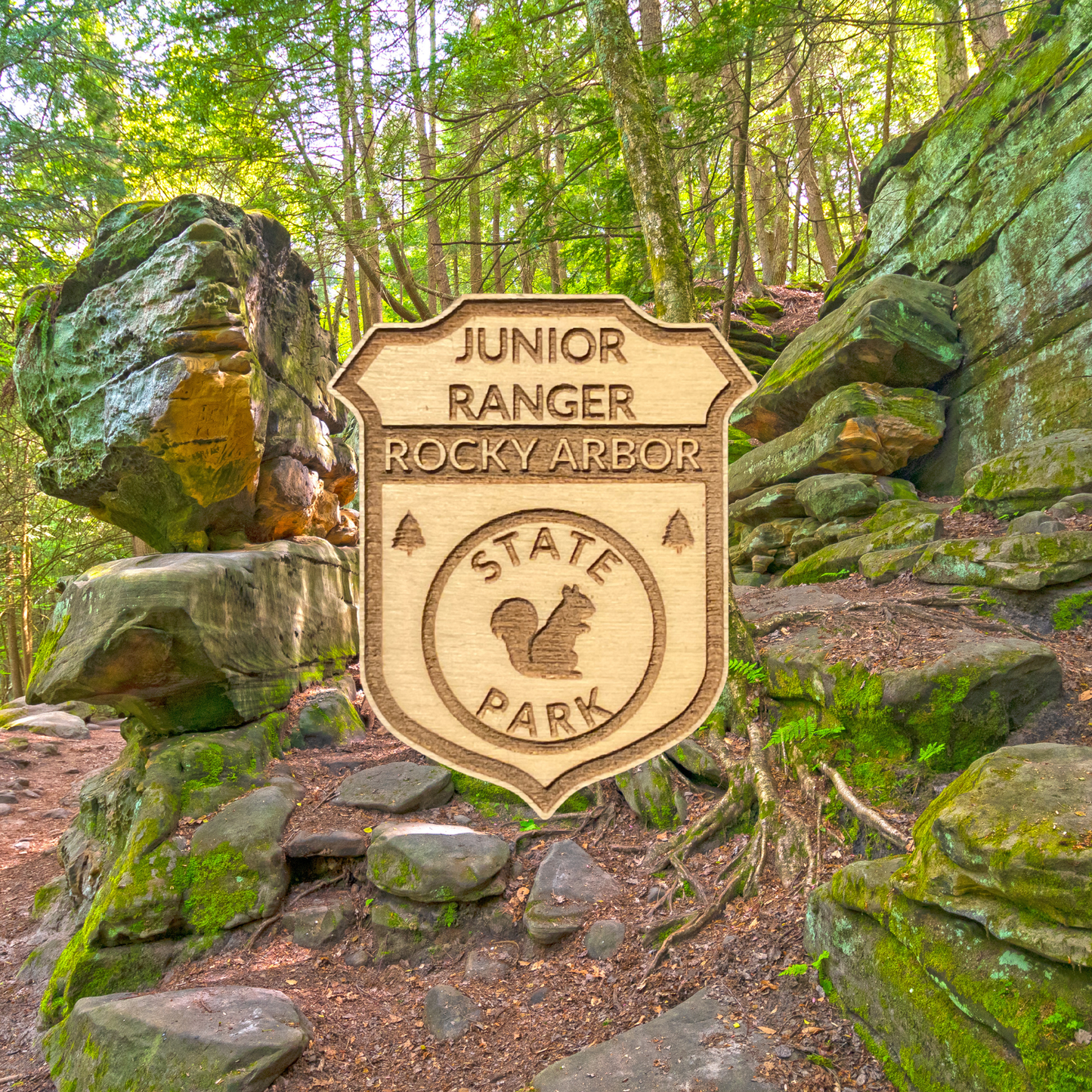 Wood badge featuring the text: “Junior Ranger Rocky Arbor State Park” and a squirrel icon with a scenic background of rocky outcroppings and trees.