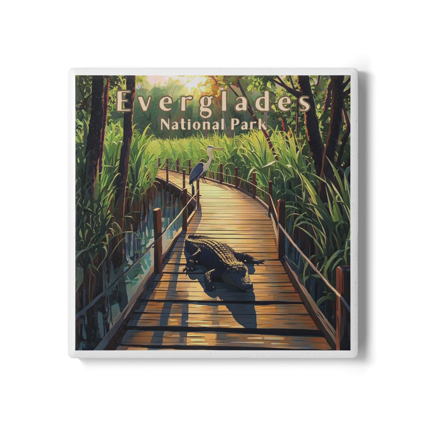 Ceramic coaster featuring an Everglades themed design with an alligator on the boardwalk and Everglades national Park text