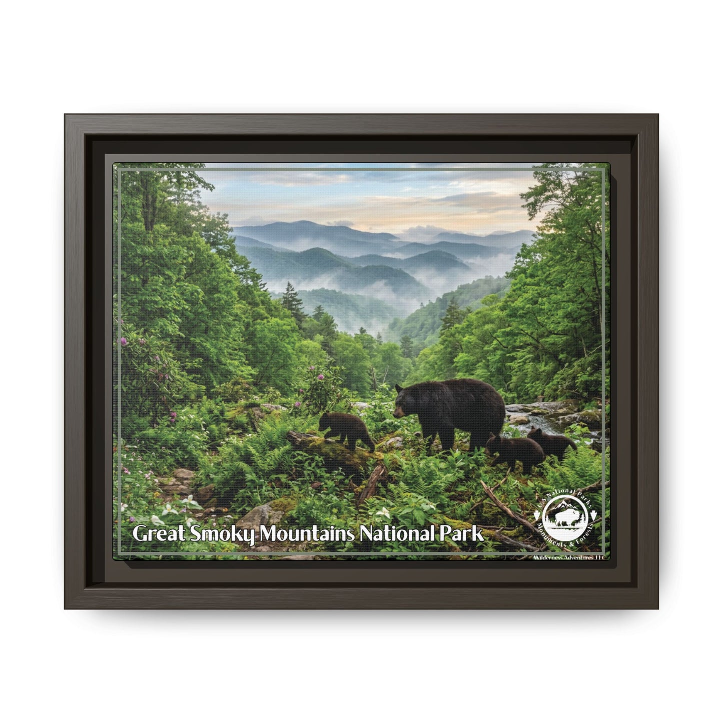 Great Smoky Mountains Framed Canvas Print