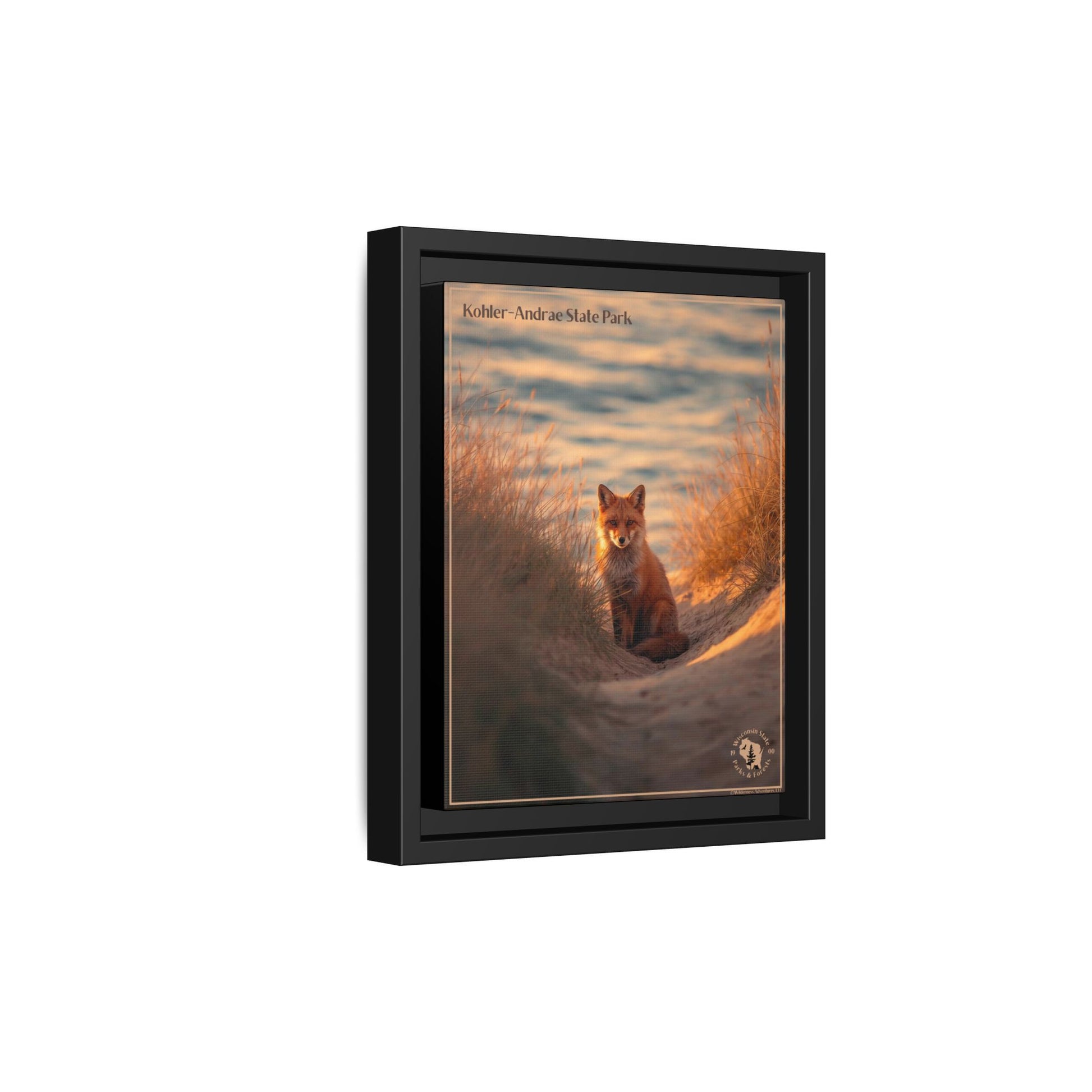 Black framed print featuring a Red Fox sitting in the dunes at Sunrise and the text: Kohler-Andrae  State Park.  