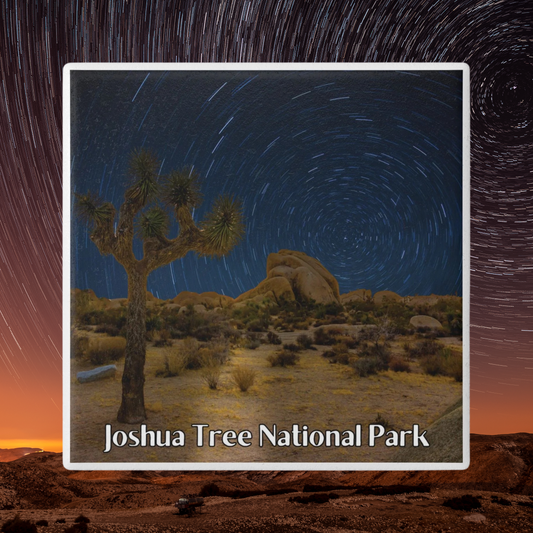 Desert landscape with Joshua Tree and star trails at Joshua Tree National Park