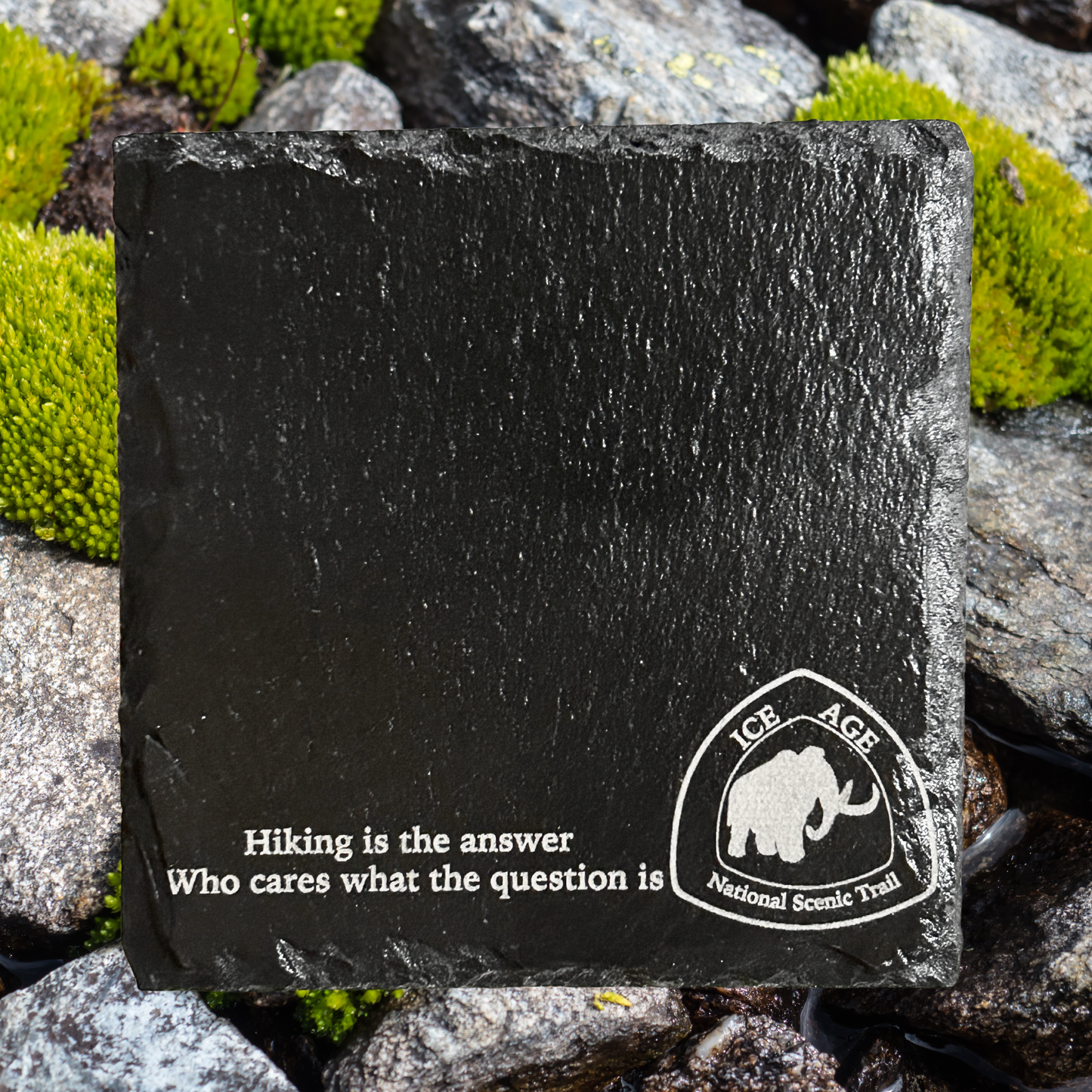 Slate Ice Age Trail Coasters