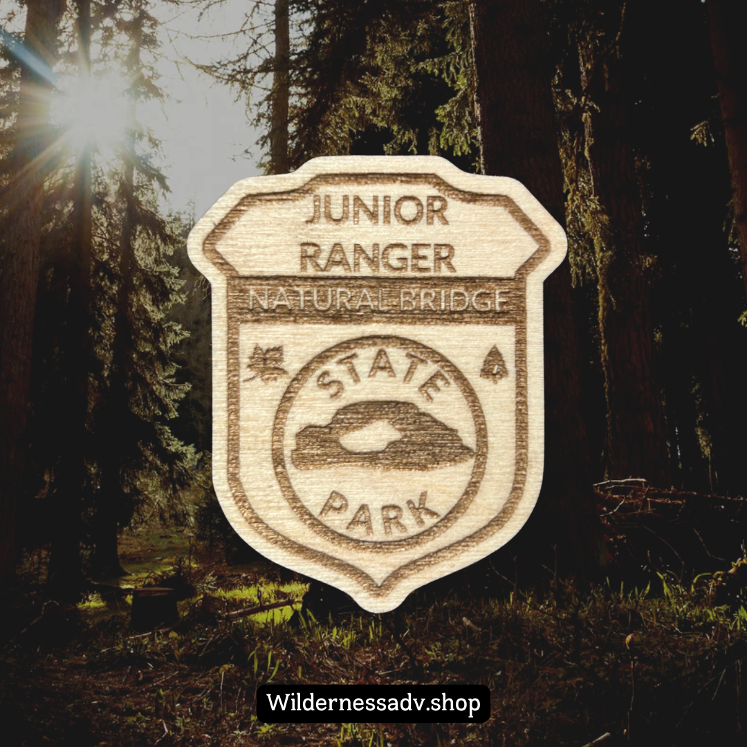Wood Jr. Ranger badge with the text: Junior Ranger Natural Bridge State Park.  Photo background of tall pines and sun shining through the trees.