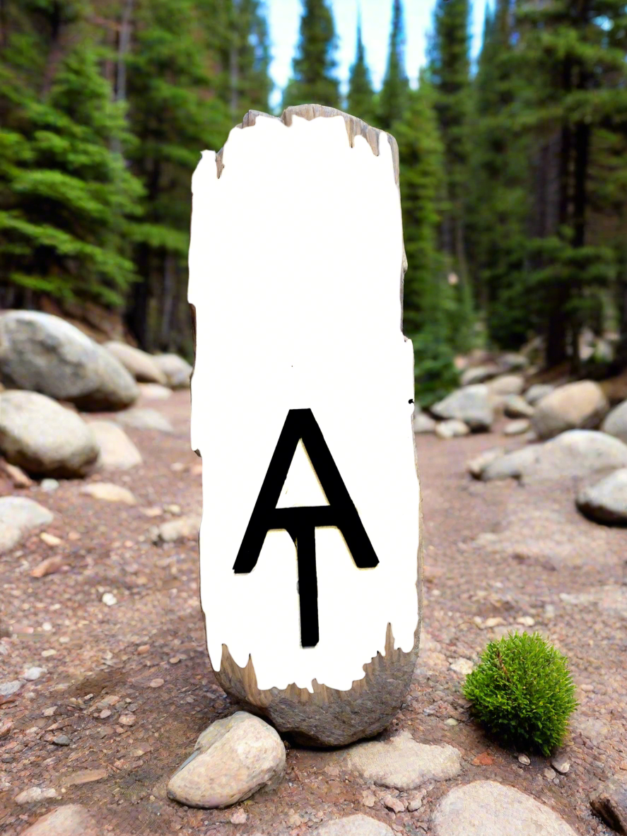 White trail blaze with Letters AT in black.  Photo background of trees and rocks.