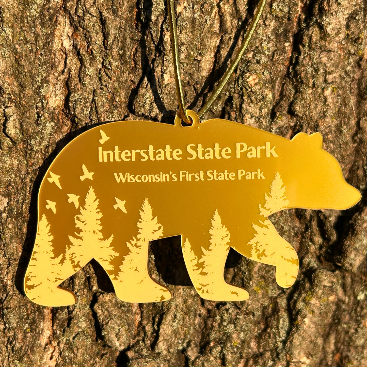 Gold bear-shaped ornament with 'Interstate State Park' text and forest scene on a tree trunk