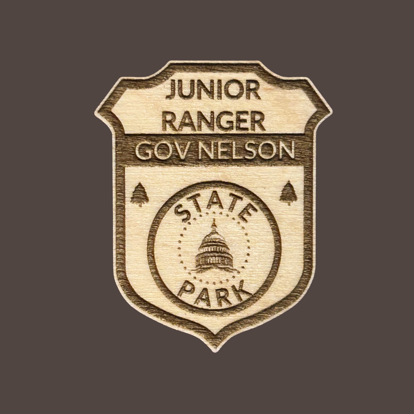 Wooden badge with 'Junior Ranger Gov Nelson State Park' text on a dark background