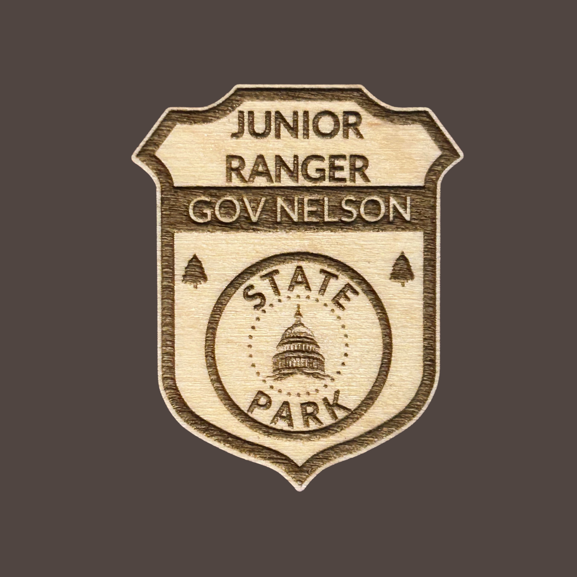 Wooden badge with 'Junior Ranger Gov Nelson State Park' text on a dark background