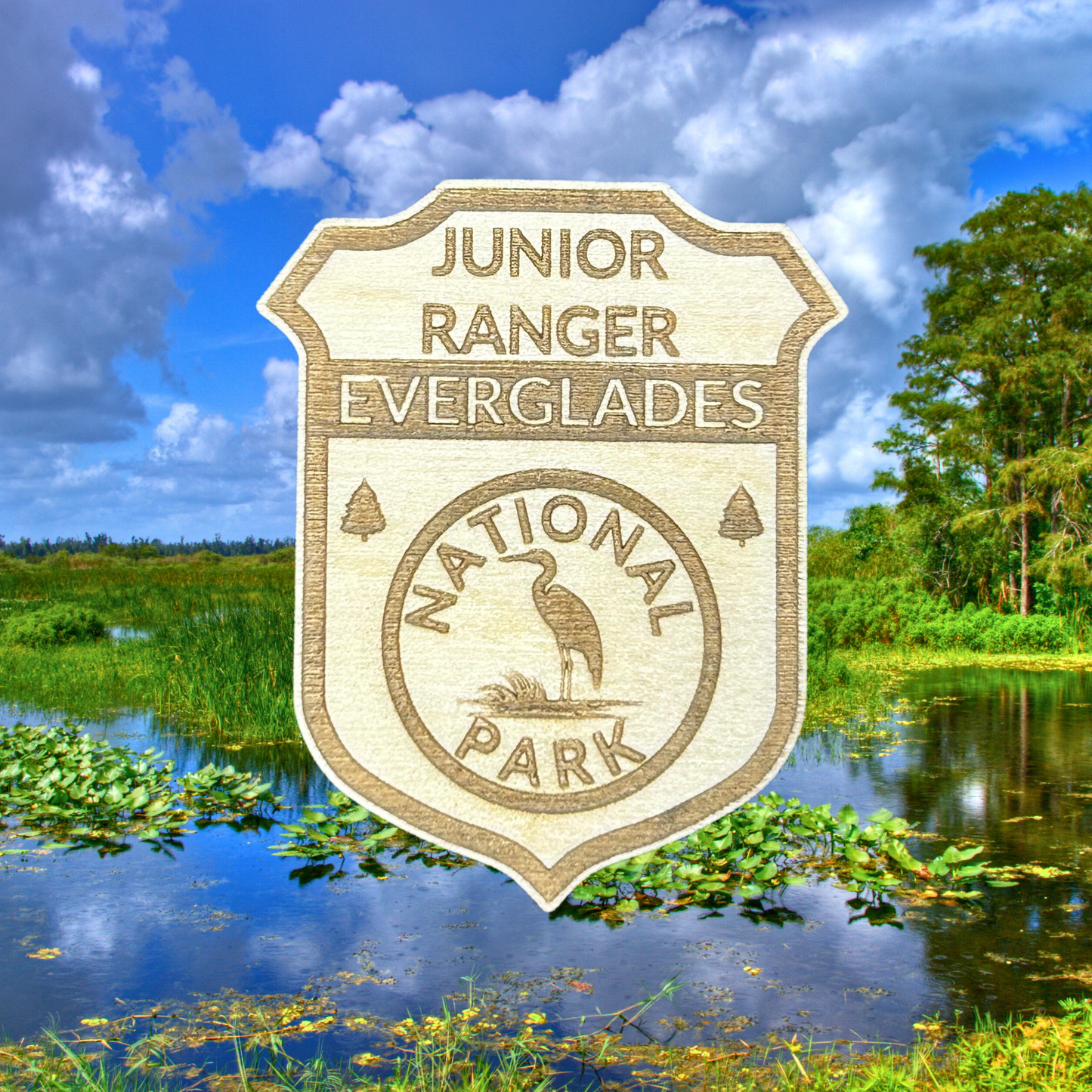 Junior Ranger badge for Everglades National Park with a natural landscape in the background