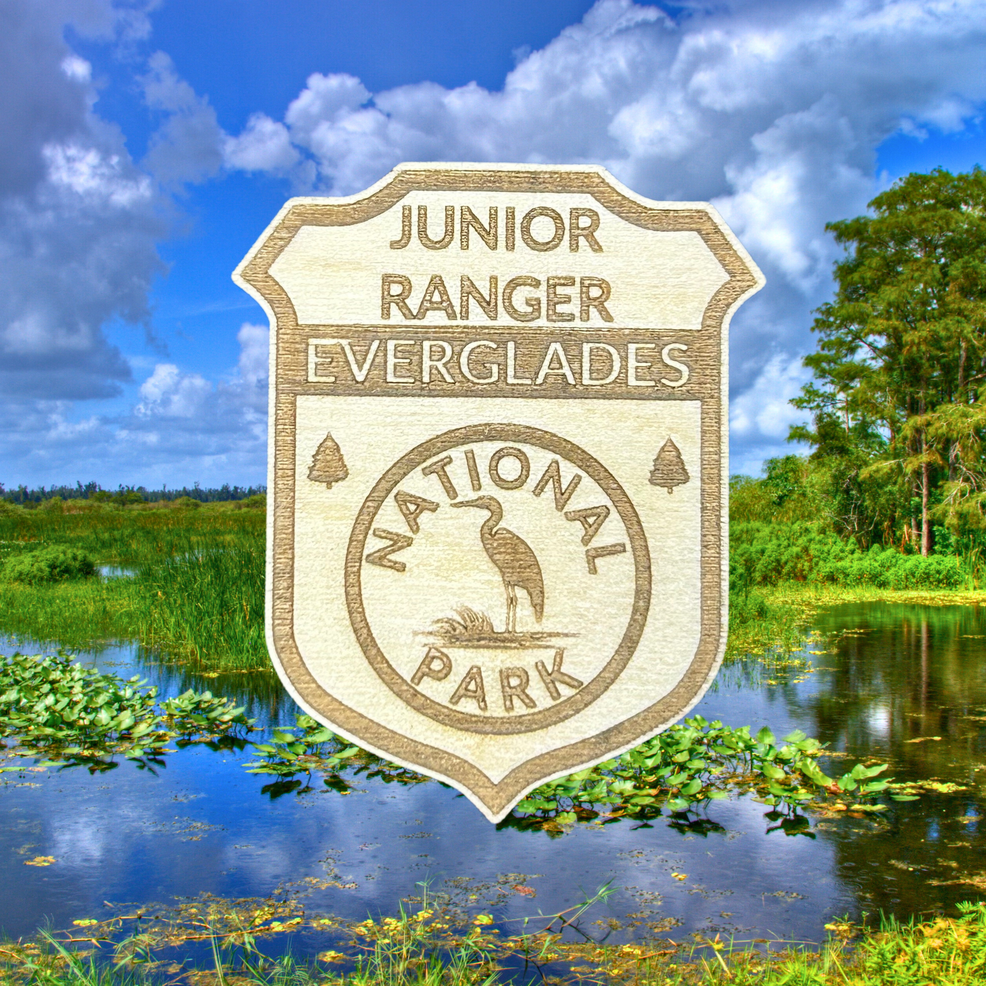 Junior Ranger badge for Everglades National Park with a natural landscape in the background