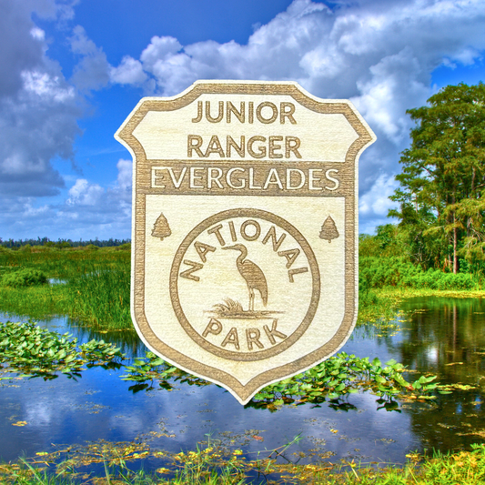 Junior Ranger badge for Everglades National Park with a natural landscape in the background