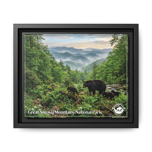 Great Smoky Mountains Framed Canvas Print