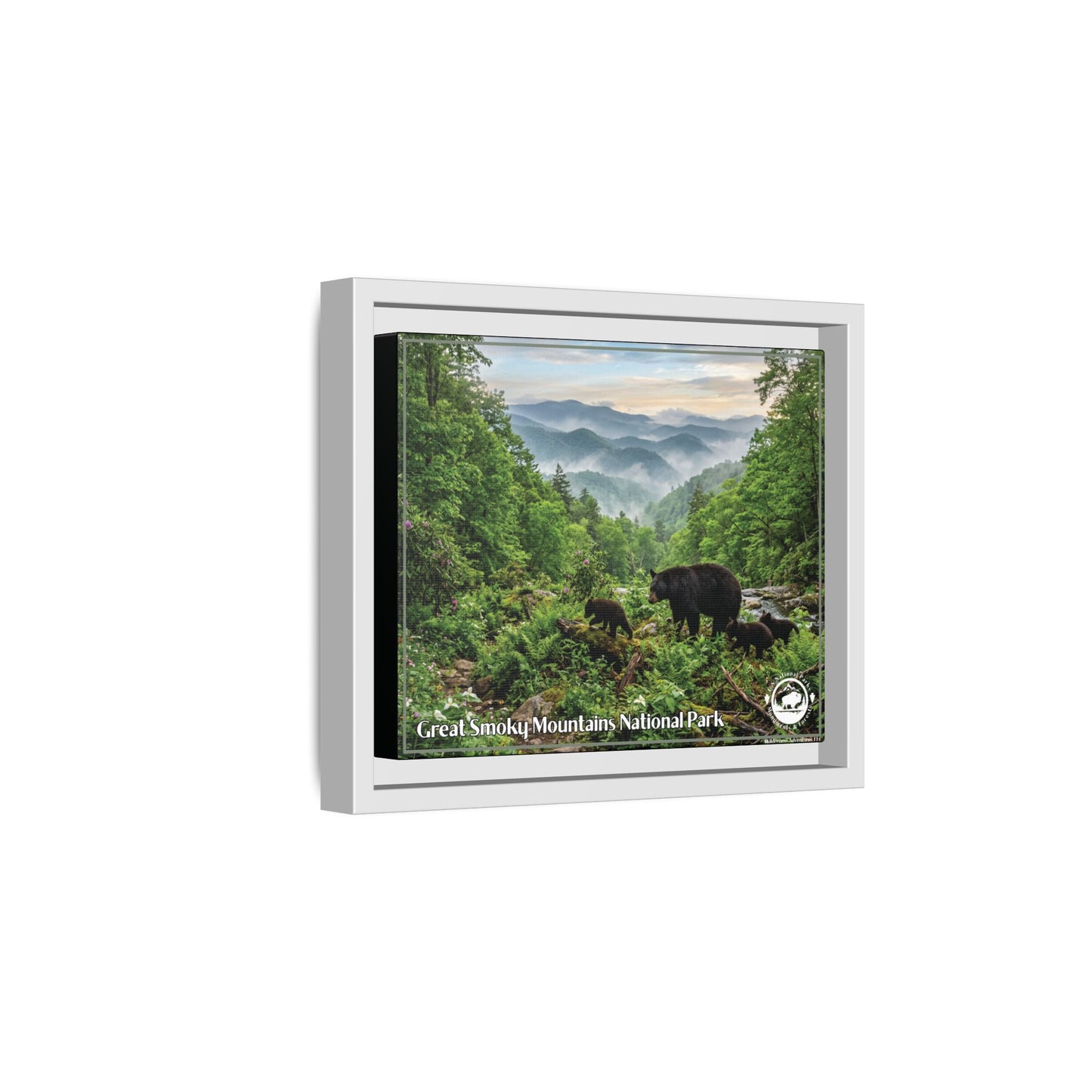 Great Smoky Mountains Framed Canvas Print