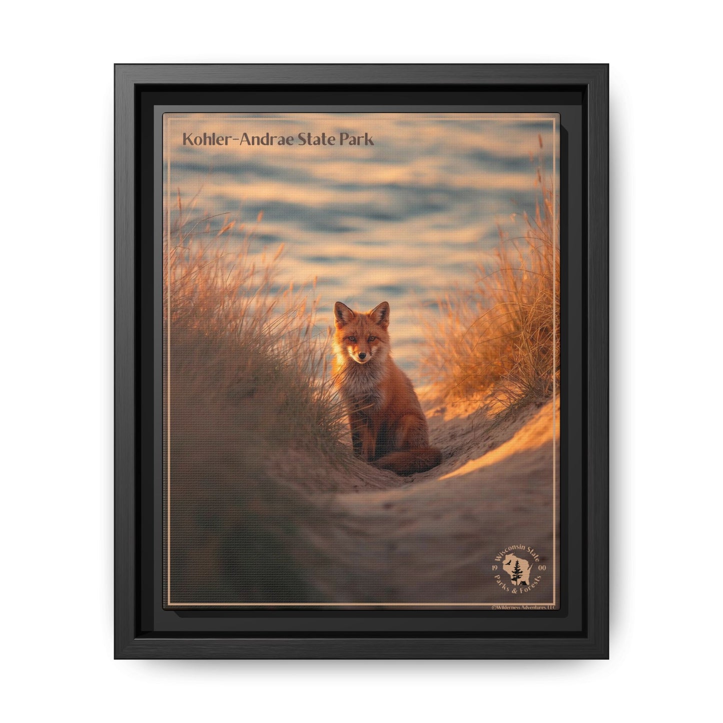 Black framed print featuring a Red Fox sitting in the dunes at Sunrise and the text: Kohler-Andrae  State Park.  