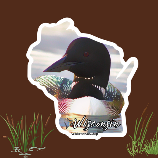 Wisconsin shaped sticker depicting a close up photo of a loon and iridescent feathers.  Features a heart symbol and the text Wisconsin.