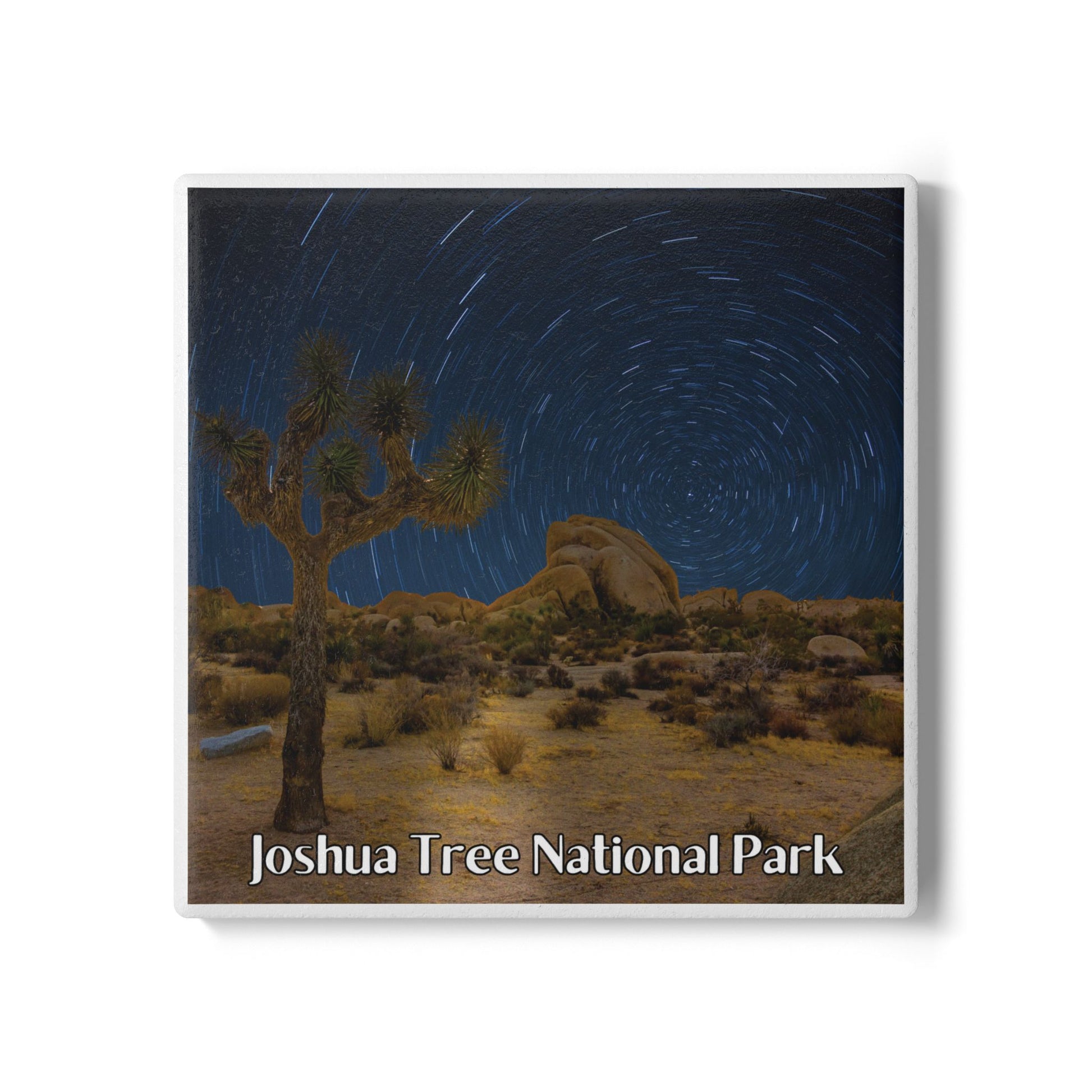 Star trails over a Joshua Tree in Joshua Tree National Park