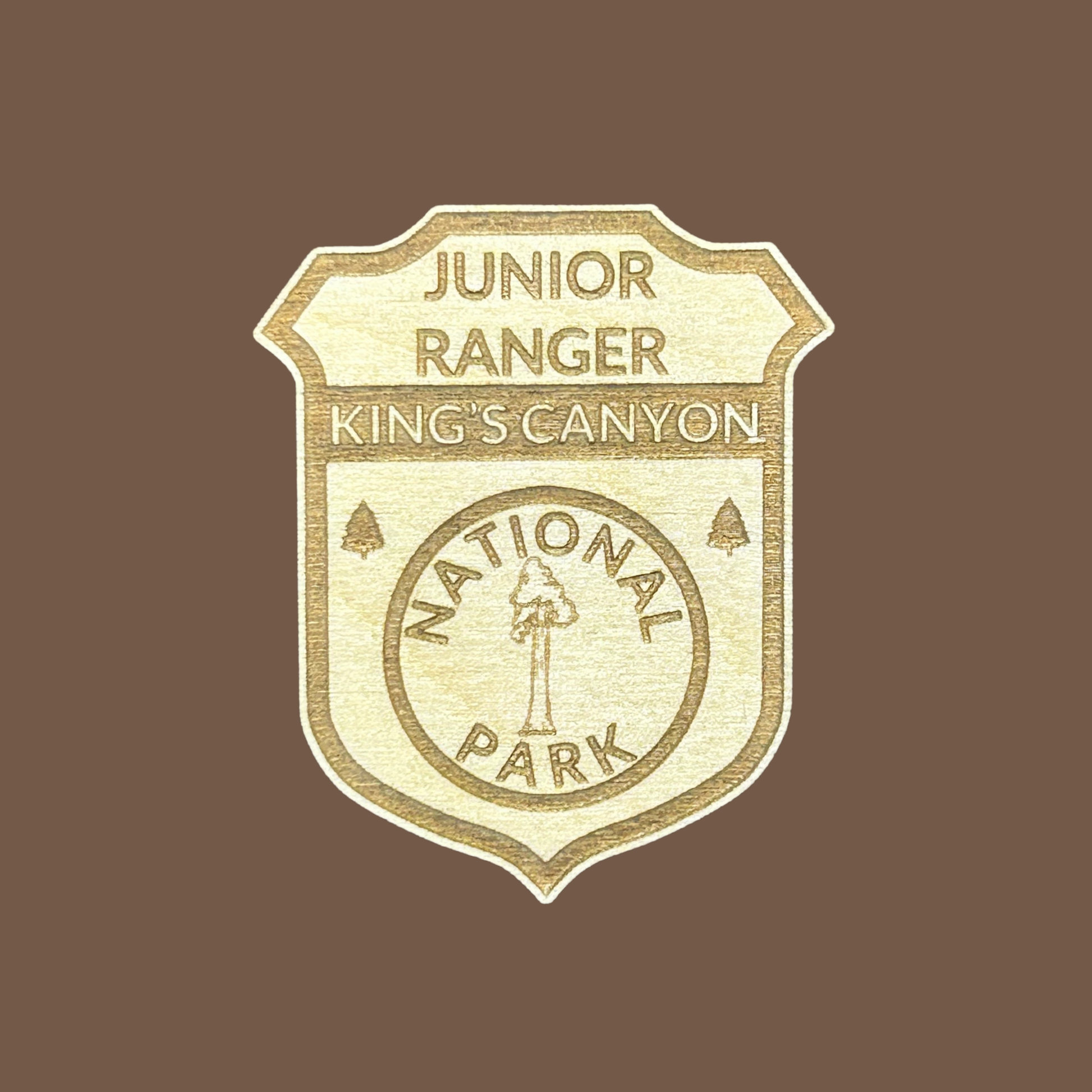 Junior Ranger badge for King's Canyon National Park on a brown background