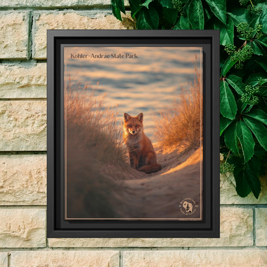Black framed print featuring a Red Fox sitting in the dunes at Sunrise and the text: Kohler-Andrae  State Park.  Photo background: brick wall with green plants growing on it. 