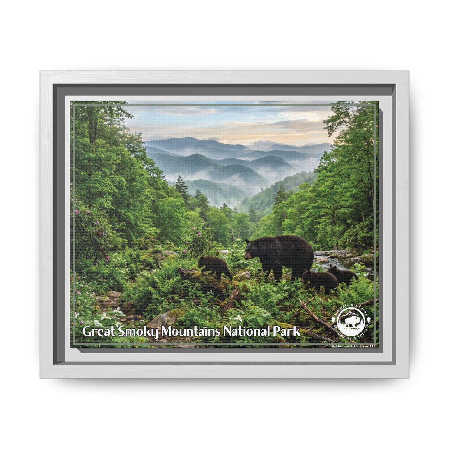 Great Smoky Mountains Framed Canvas Print